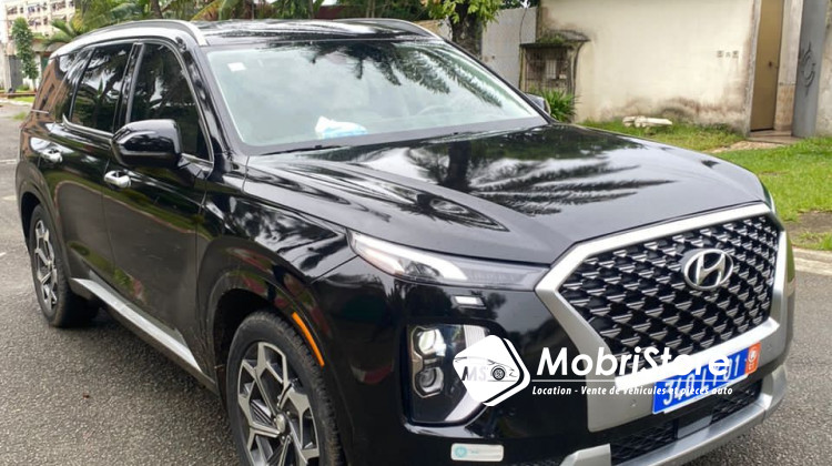 MobriStore Hyundai palissade