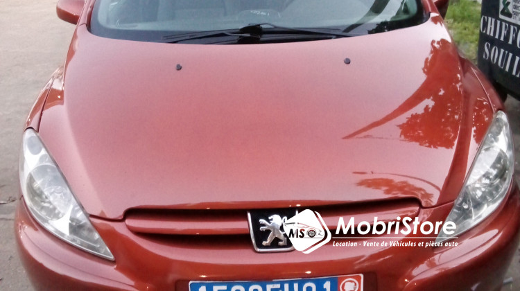 MobriStore Peugeot 307