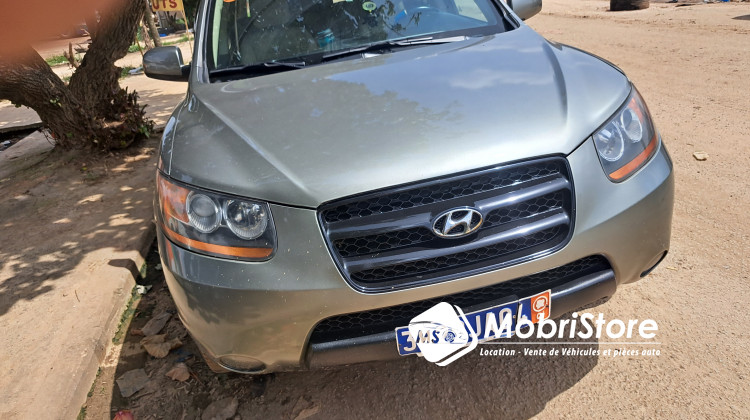 MobriStore Santafe 2