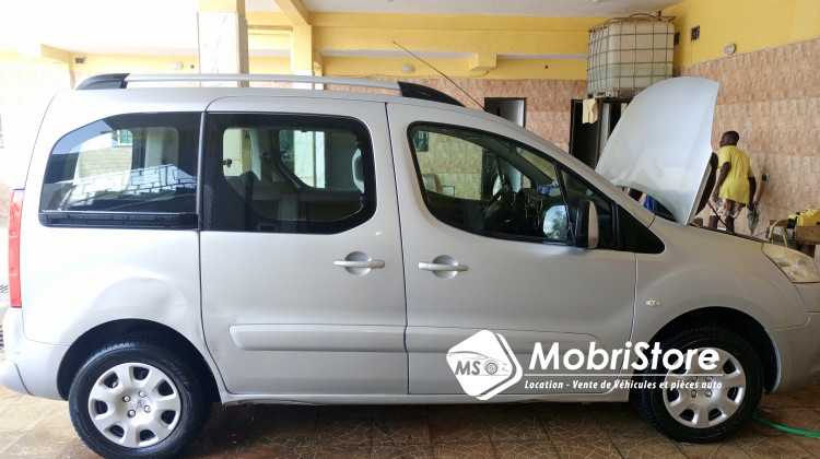 MobriStore Peugeot Partner 2010