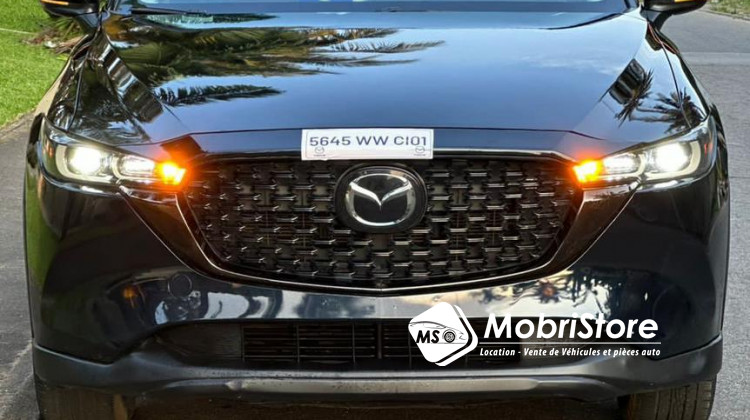 MobriStoreMadame cx5 skyativG