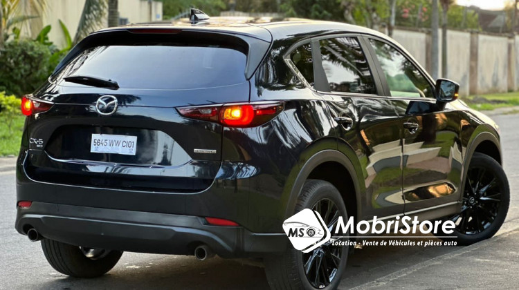 MobriStore Madame cx5 skyativG