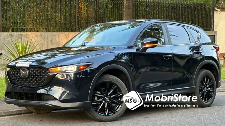 MobriStore Madame cx5 skyativG