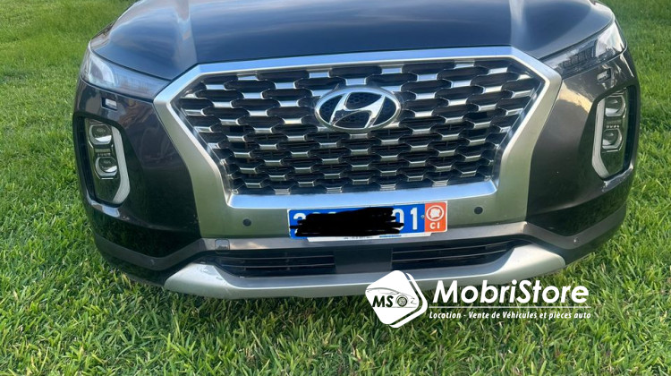 MobriStore Hunday palisade