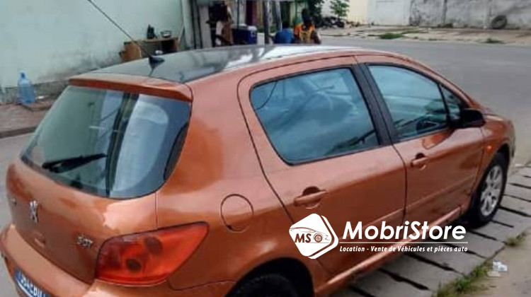 MobriStore Peugeot 307 marron