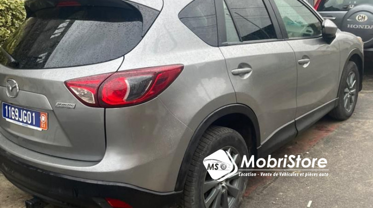 MobriStore Cx-5