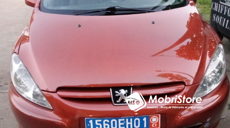 MobriStore Peugeot 307